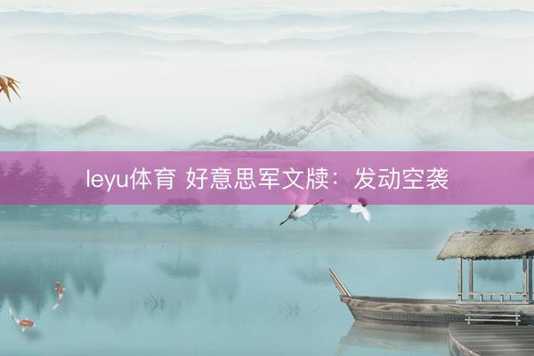leyu体育 好意思军文牍:发动空袭