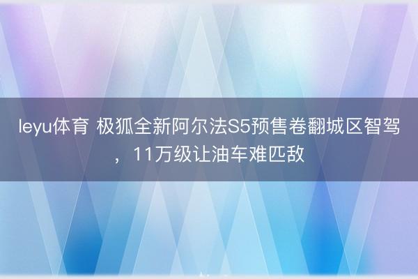 leyu体育 极狐全新阿尔法S5预售卷翻城区智驾,11万级让油车难匹敌